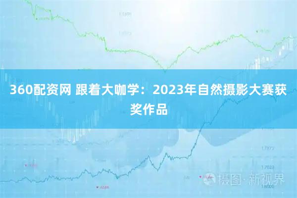 360配资网 跟着大咖学：2023年自然摄影大赛获奖作品
