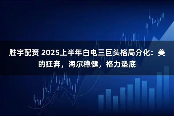 胜宇配资 2025上半年白电三巨头格局分化：美的狂奔，海尔稳健，格力垫底